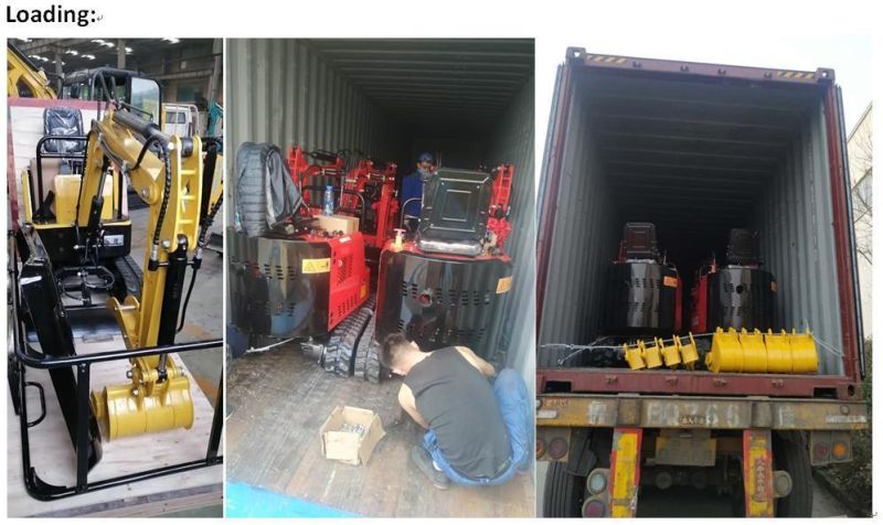 Hot Sell Top China Excavator Supplier Mini Bagger with Ligong Euro 5 Engine