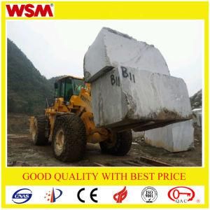 45 Tons Forklift Wheel Loader Machinery for Bucket and Fork