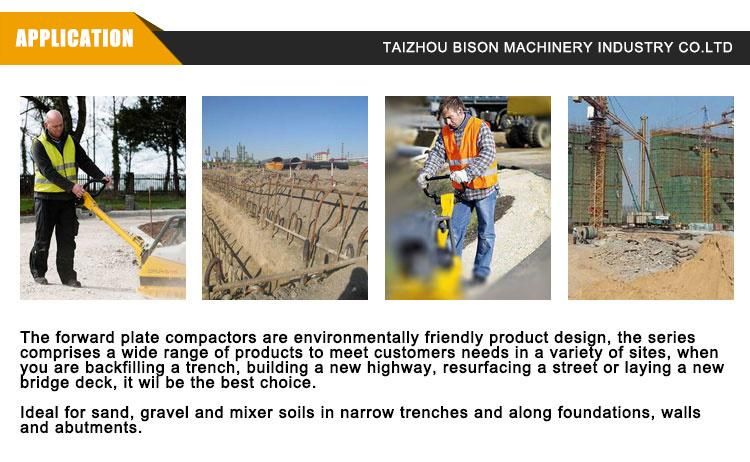 Bison Muffler Tamping Rammer Plate Compactor 90kg Best Selling China