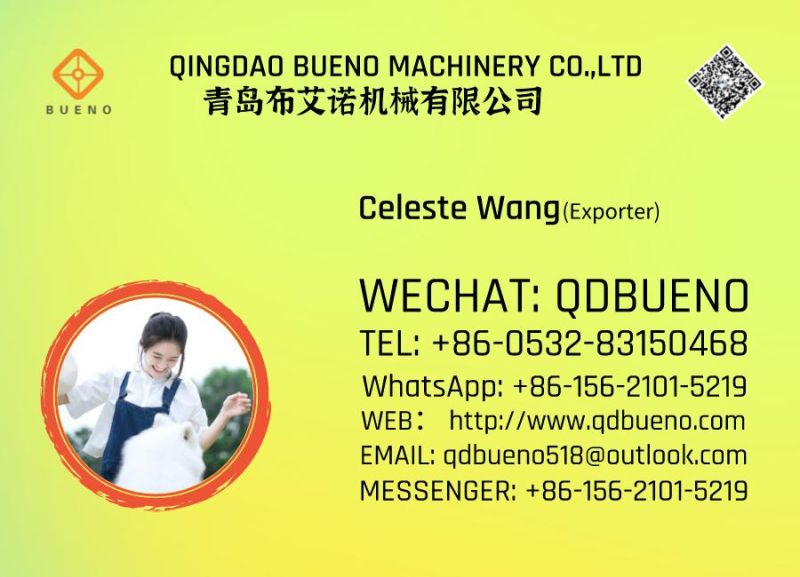 Bueno Mini Backhoe Loader with CE Certificate