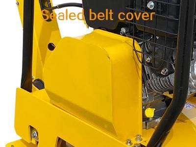 Wacker Plate Compactor Reversible Gasoline Engine