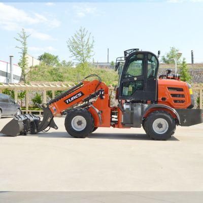 Chinese Mini Telescopic Wheel Loader with Price