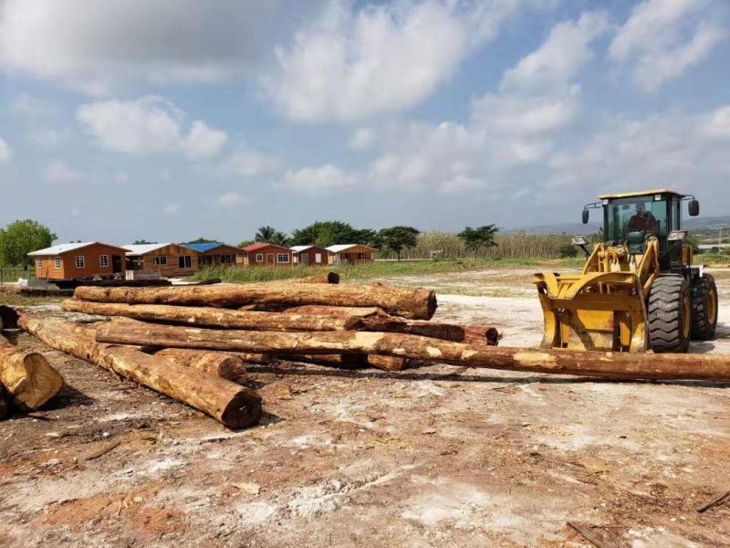 Wolf Heavy Equipment Wheel Loader Zl50 for South Africa