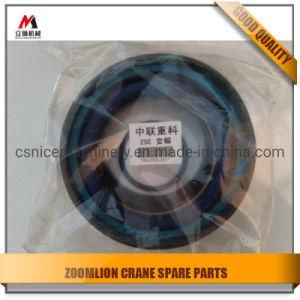 Cylinder Seal Kits for Zoomlion Crane /Zoomlion Truck Crane Cylinder Seal Kits