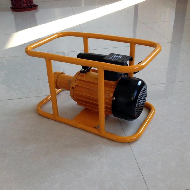 Internal Concrete Vibrator Poker (ISO9001) /Pendulum Concrete Vibrator