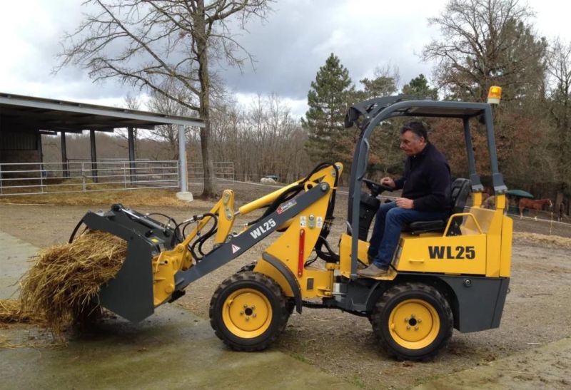 Factory Direct Sale 2021 New Small Wheel Loader with CE ISO Front End Loader