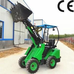 Telescopic Small Wheel Loader Dy620 with EPA