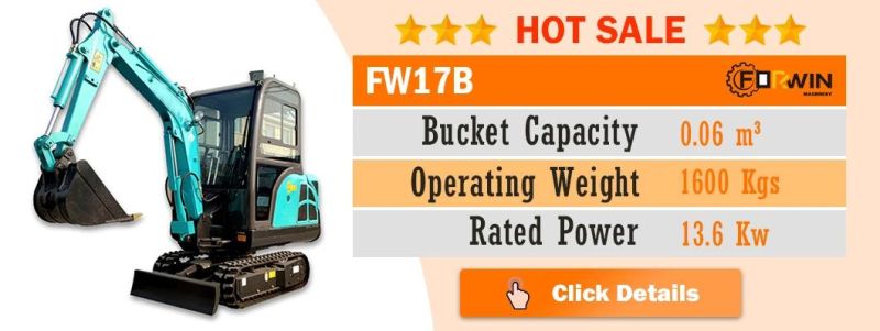 China High Standard 2.5 T Small Backhoe Digger Fw25b Mini Hydraulic Pump Rubber Crawler Track Excavators Cheap Price for Sale
