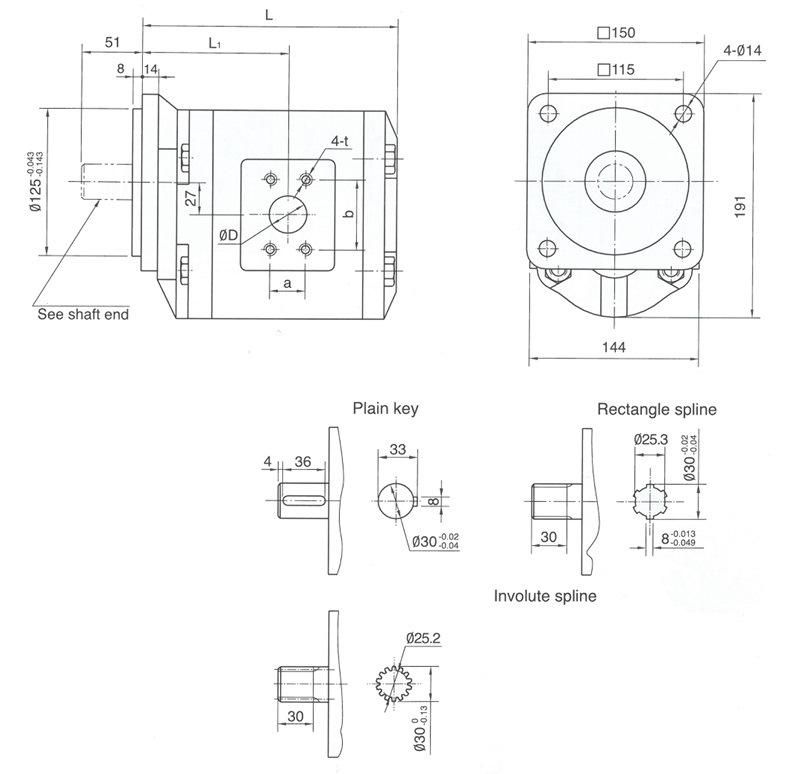 China Manufacturer Forklift Hydraulic Gear Pump Cbg2 for Sale