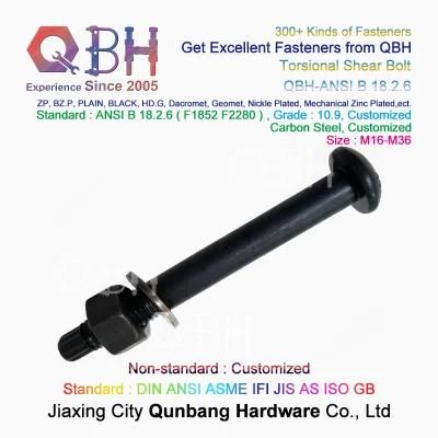 Qbh Customized Torsional Shear Tension Control Tc Bolt Nut Washer Railway Rairoad Hoisting Machinery Steel Structure Spare Unit