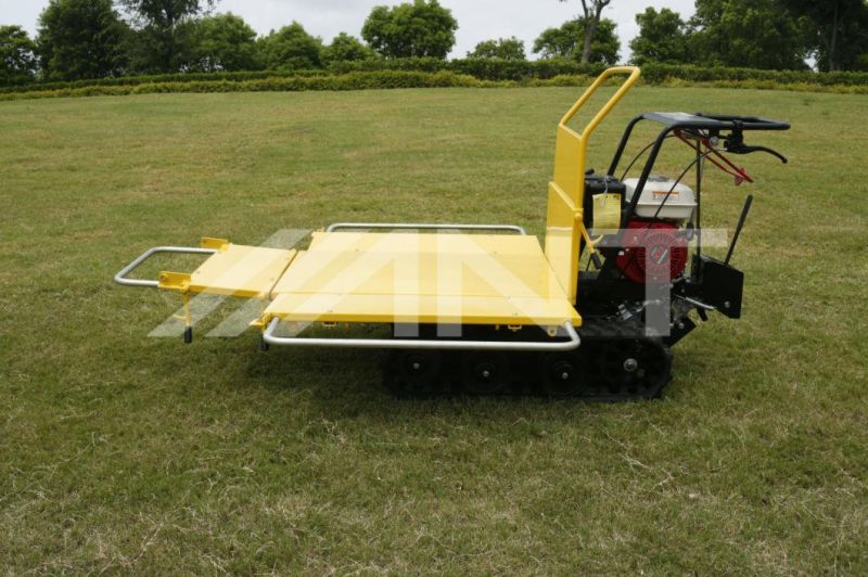 Self-Propelled Crawler Driven Mini Dumper with Ce By300c