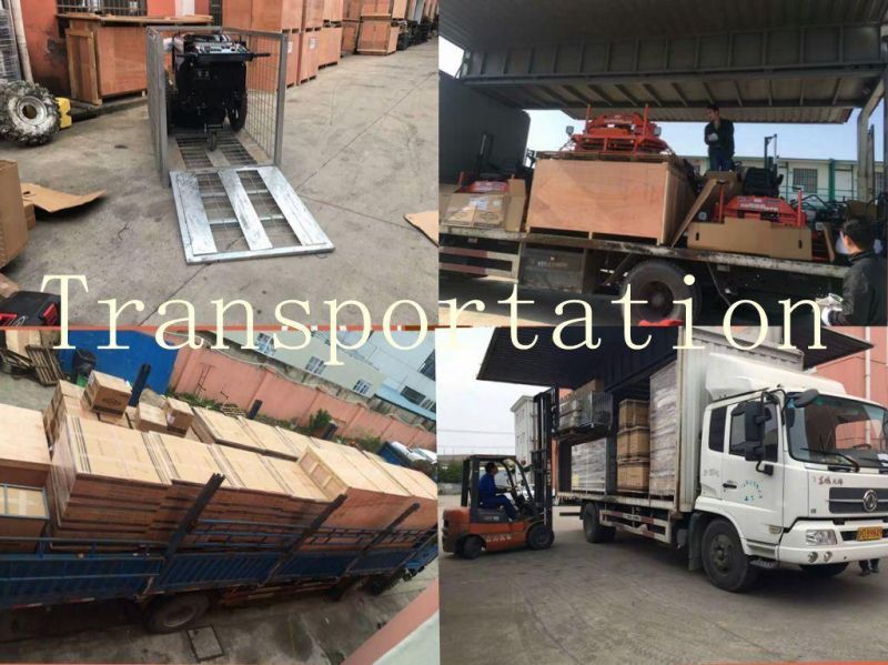 Factory Price! Vibrating Screed CSD with Honda Gx35 Engine