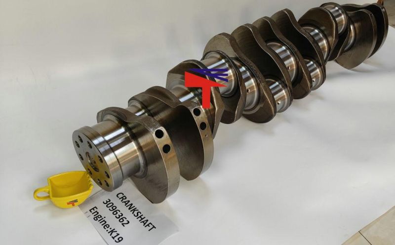 Machinery Engine Crankshaft 3096362 for K19 Engine Generator Set Excavator Dumptruck Heavy Truck