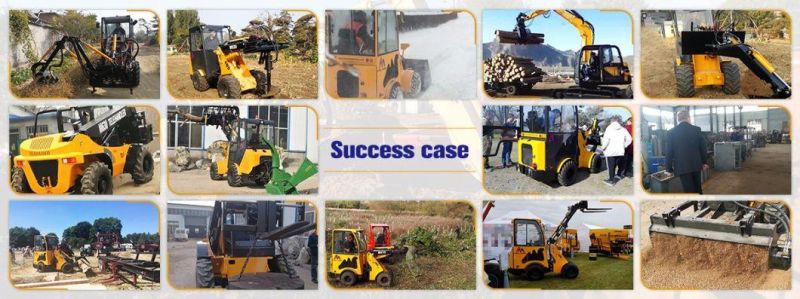 Ce Certified 1 Ton Small Articualted Farm Wheel Loader for Sale