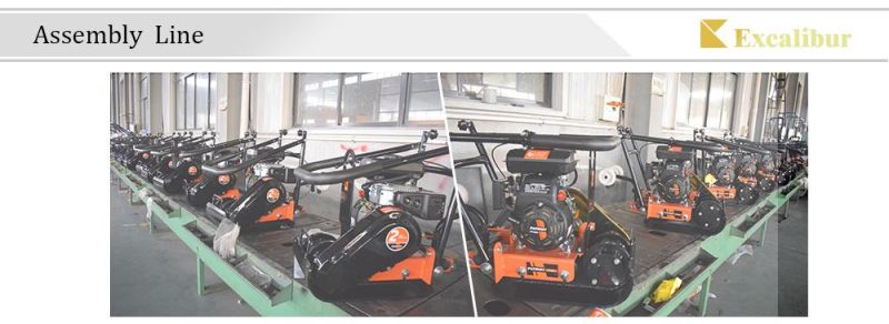 Hot Sell Recoil Starter 3HP Garden Plate Compactor