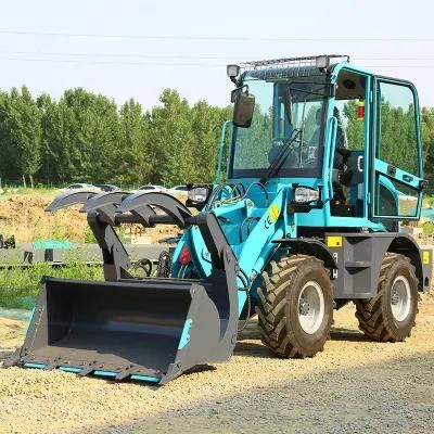 China Jining Factory Home Use Shovel Mini Compact Front End Loader in Enrope
