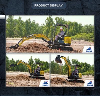 Europe Market Hot Popular 2021 New 2.7 Ton Mini Excavator Xn10 Small Mini Bagger