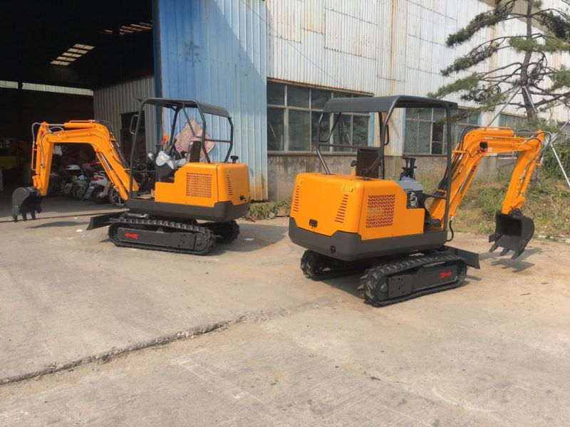 World Fomous Brand 2.2 Ton Excavators with Yanmar Engine Hot Sale in Europe