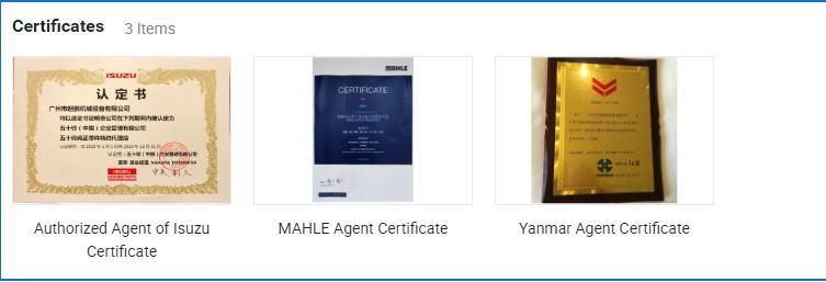 Agent for Mahle Products - Machinery Construction Diesel - Piston for 6D34 Mlwtp006