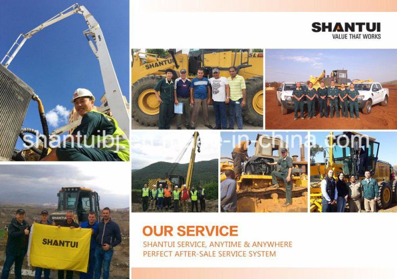 Shantui Top Quality Dh17 Many Types of Bulldozer 170HP Dozer