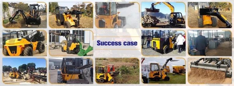 Powerful and New Condition Mini Boom Loader Micro Telescopic Boom Loader with 1 Year Warranty for Sale