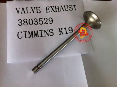 Engine Spare Parts K19 Exhaust Valve 3803529