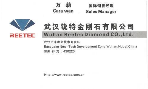 PDC Insert for Gas Well Drill Bits