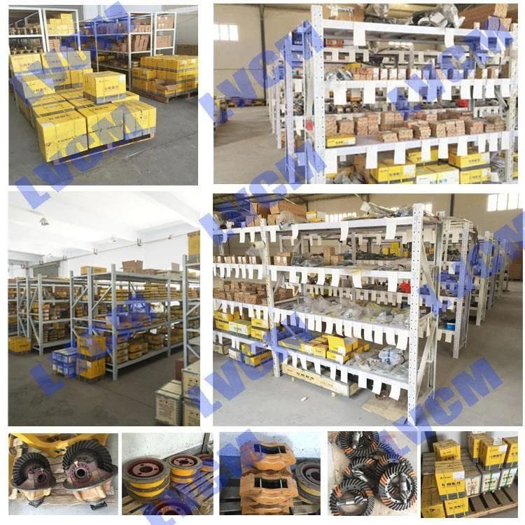Changlin Wheel Loader Spare Parts Z30.6-10A Inner Gear for Sale