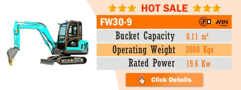 0.8 T Small Backhoe Digger Fw10A Mini Hydraulic Pump Rubber Crawler Track Excavators Cheap Price for Sale