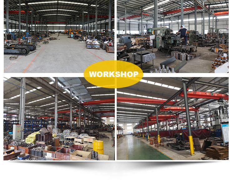 Professional Manufacture Parts Track Group Assembly Line for Shoes