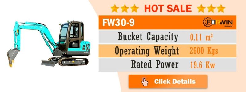 China High Standard 0.8 T Small Backhoe Digger Fw10A Mini Hydraulic Pump Rubber Crawler Track Excavators Cheap Price for Sale