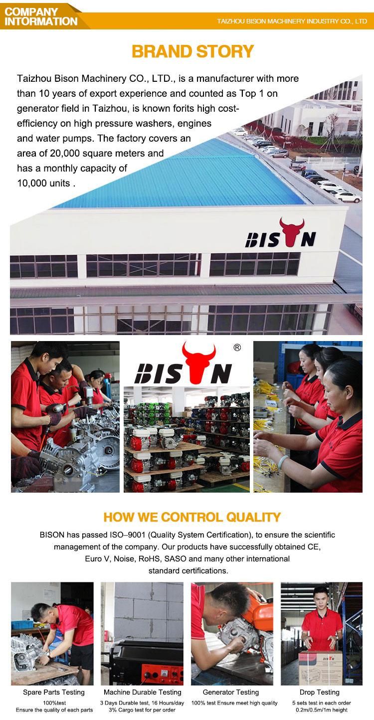 Bison 5.0HP ODM/OEM Gasoline Engine Concrete Vibrator Factory