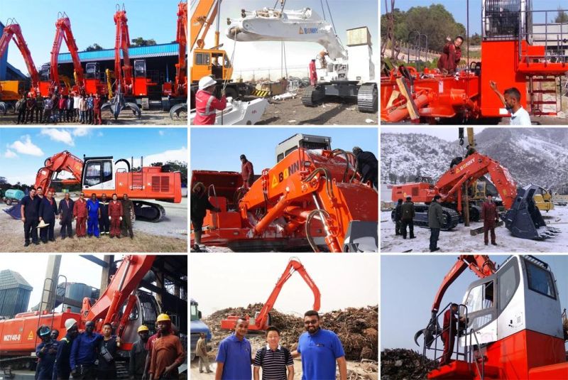 Bonny Wzd42-8c Stationary Electric Hydraulic Material Handler for Unloading Scrap Metal at Wharf From Ship Barge