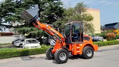 High Quality (HQ910) with CE, SGS Certificate Zl10 Small Loader