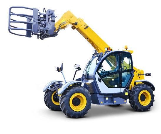 Rgxc6 Small Forklift Telescopic Handler Loader for Sale