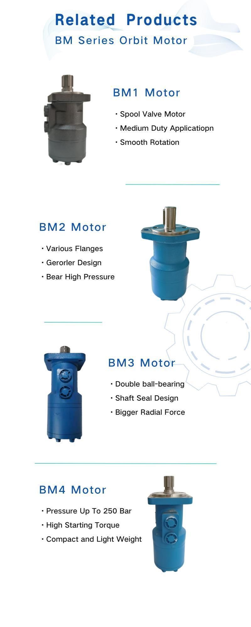 Manufacrurer Factory Direct Spline Shaft 2/4 Bolts Hydraulic Orbit Motor