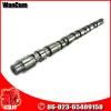 Engine Plant Nt855-G2 Camshaft