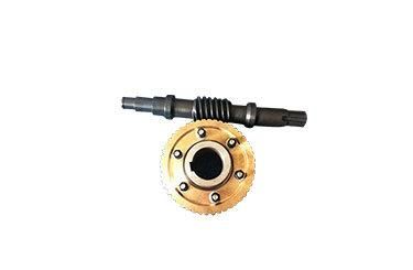 Worm and Worm Wheel for Passenger Hoist Gjj Sc200