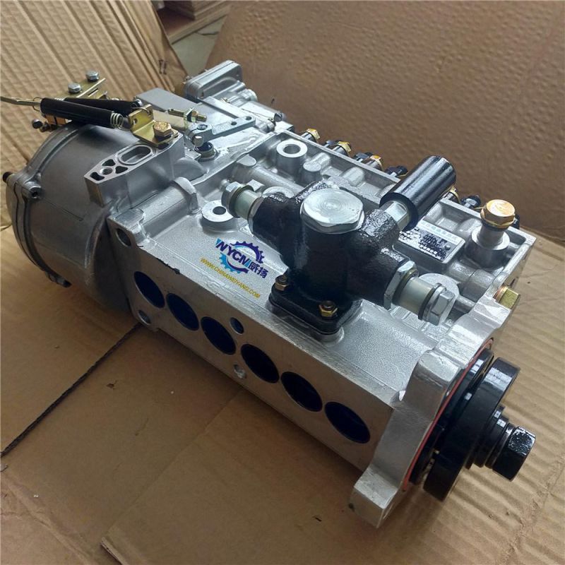 High Quality Fuel Injection Pump P10z002 for Shang Chai C6121 Engine
