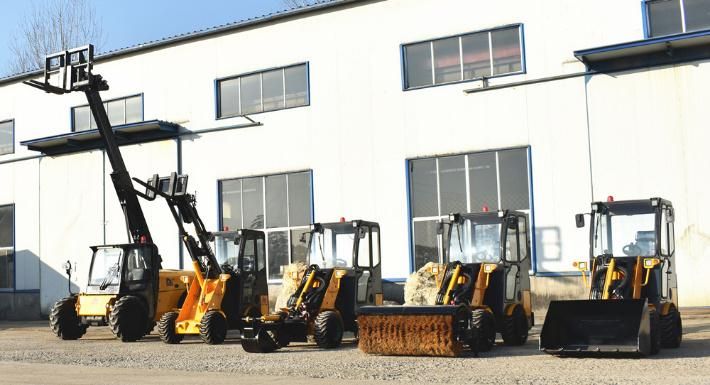 European Agricultural Machines 3ton Small Diesel Forklift with Telescopic Boom