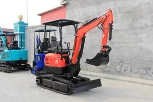 Top Sales and Stable Rotary Hydraulic Crawler Micro Digger with Rubber Track