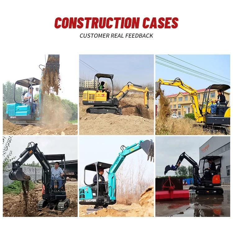 Shanding Brand 0.8ton Mini Excavators Free Shipping House Mini Diggers