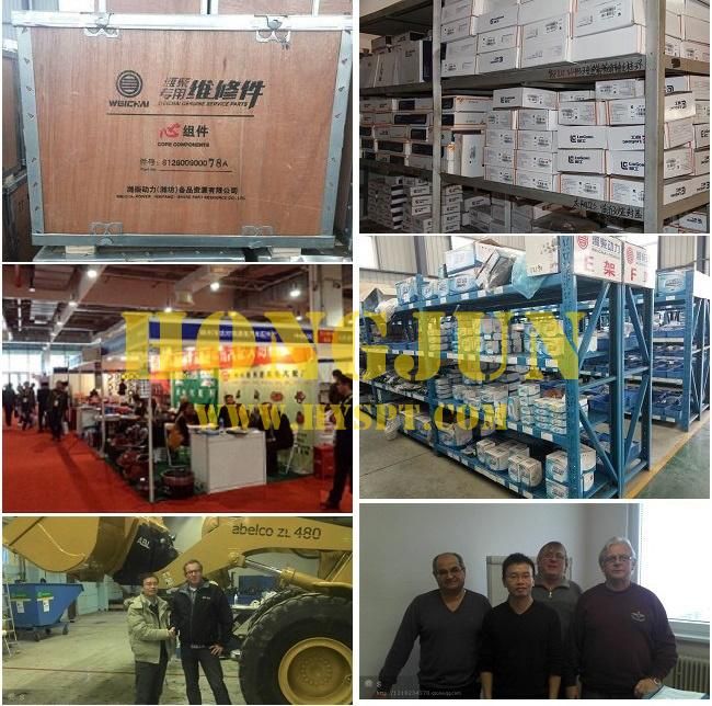Return Oil Filter (29100004061) for Sdlg Wheel Loader