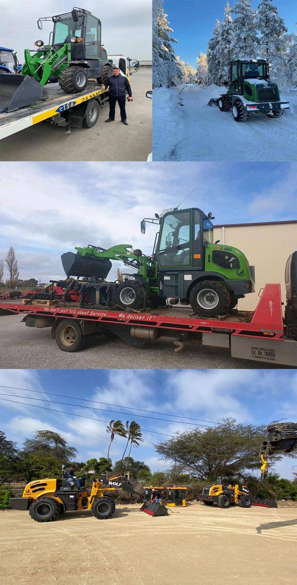 Chineses Supplier Wolf with Euro5 Engine CE/Rops/Fops Mini Loader Front End Loader for 1.5t/1.6t
