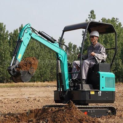 Multiple Model China Mini Excavator Crawler Excavator for Sale