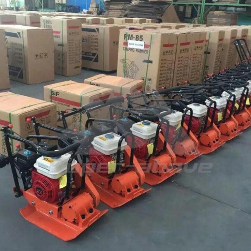 China Factory Walk Behind Gasoline Hand Held Reversible Plate Compactor
