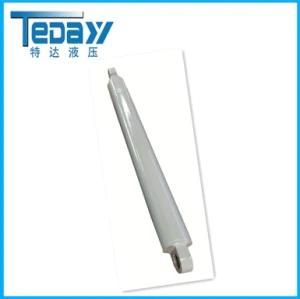 Sanitation Hydraulic Cylinder Customized