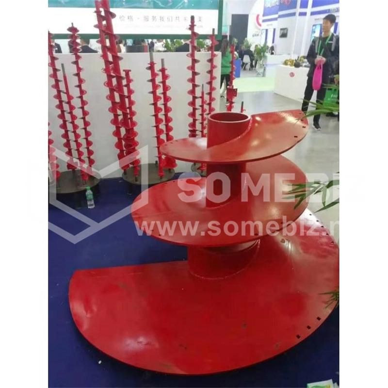 Stainless Steel Small Auger Screw
