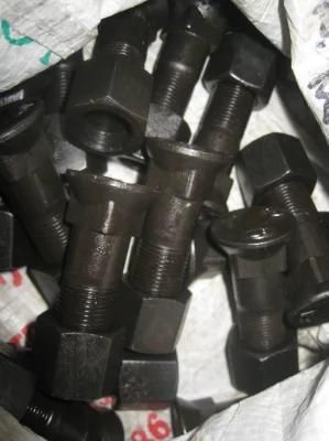 Track Shoe Nut and Bolt for Shantui Parts Shantui Shehwa Dozer Parts