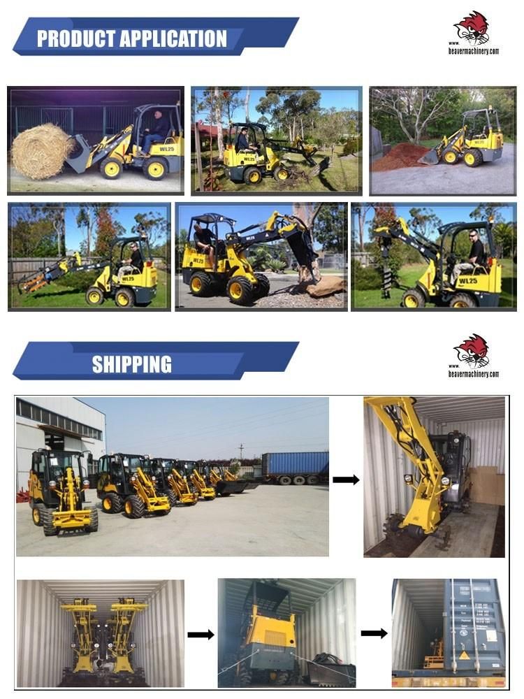 Hot-Selling China Mini Wheel Loader on Sale in Europe Wl25